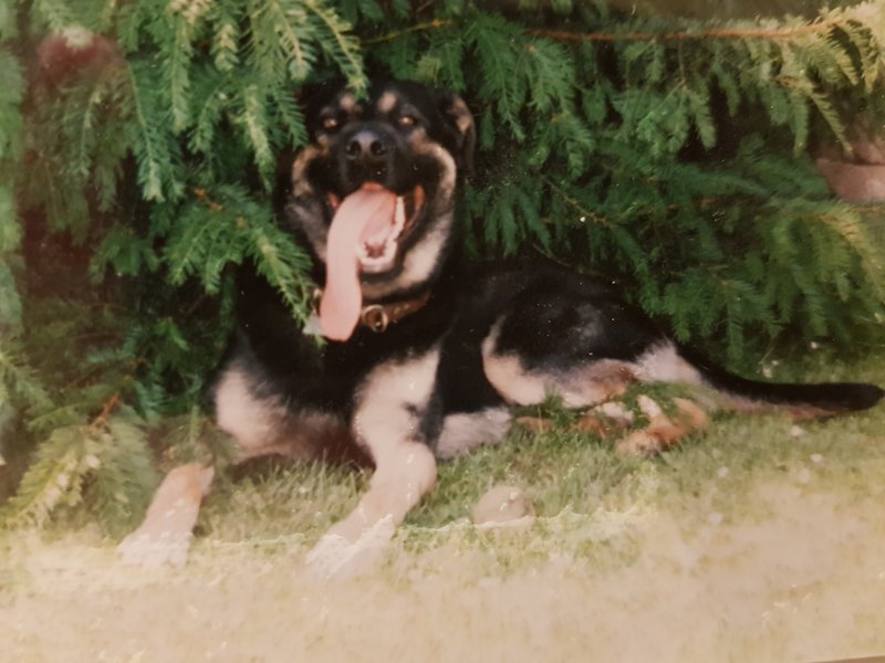 Individuelle Überschrift