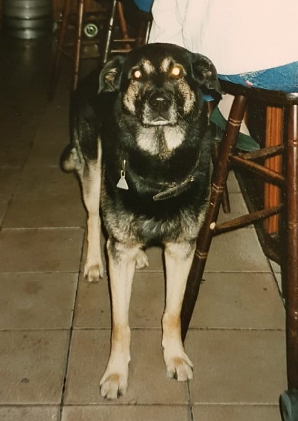 Individuelle Überschrift