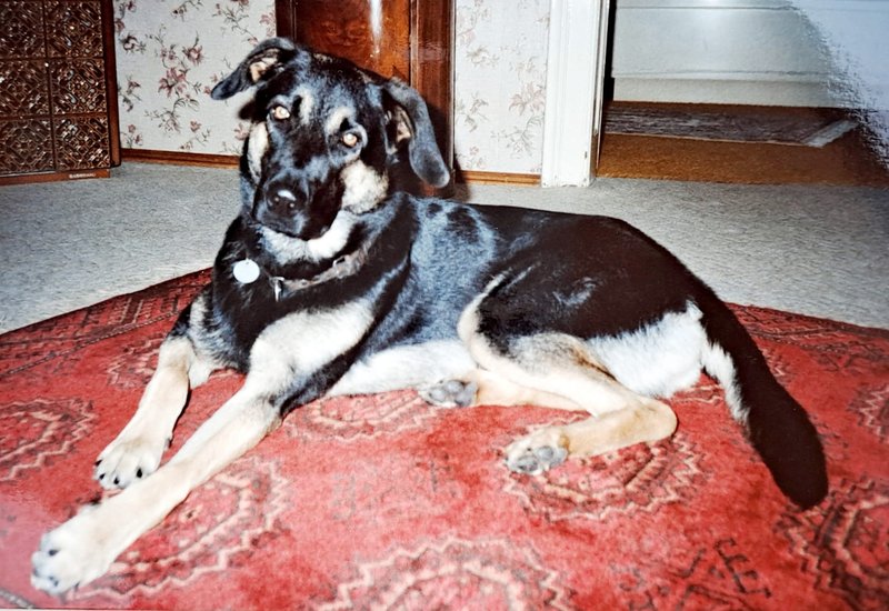 Individuelle Überschrift