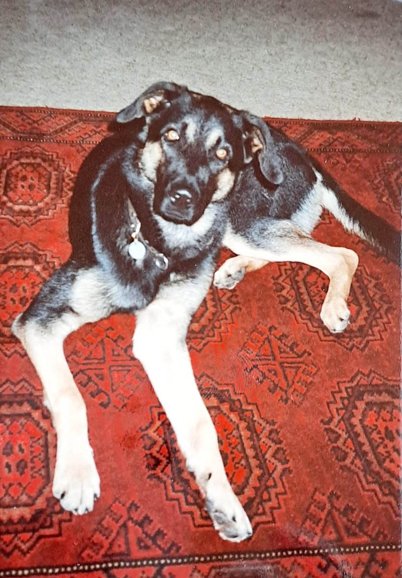 Individuelle Überschrift