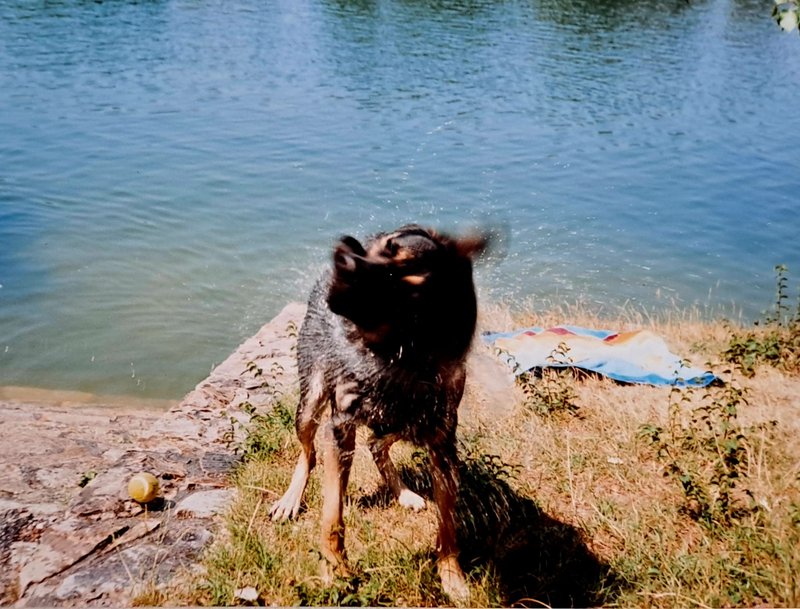 Individuelle Überschrift