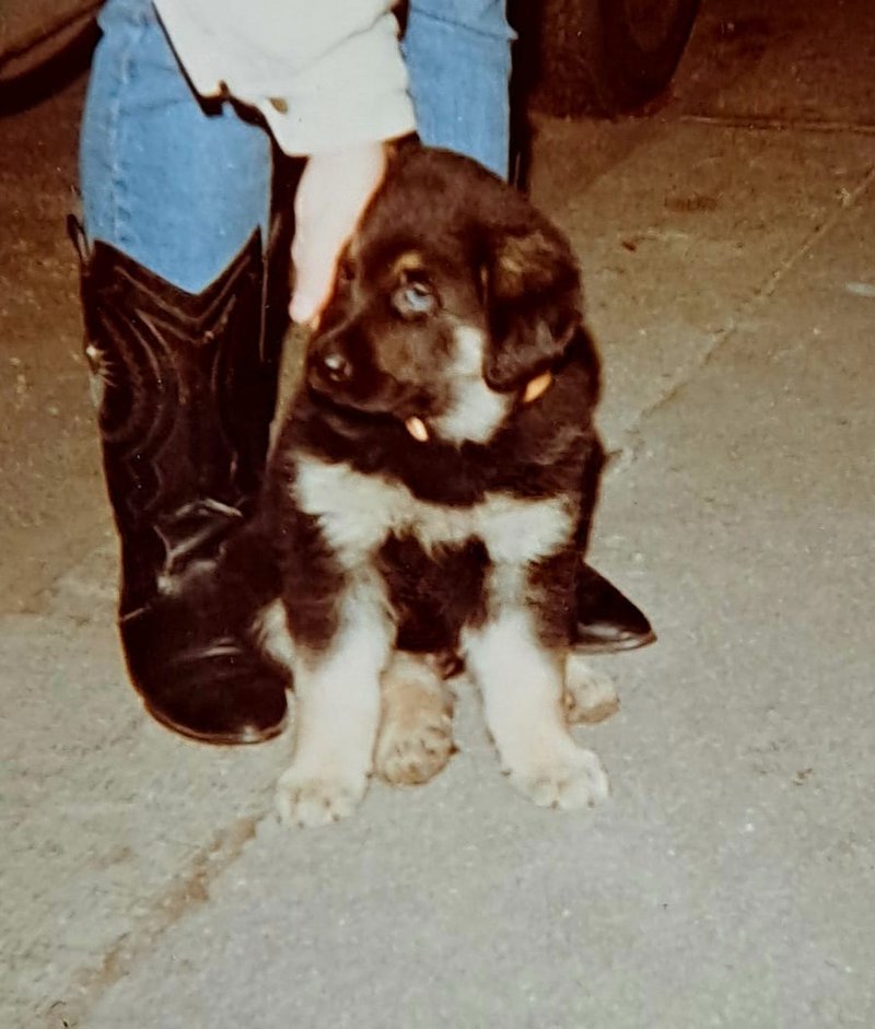 Individuelle Überschrift