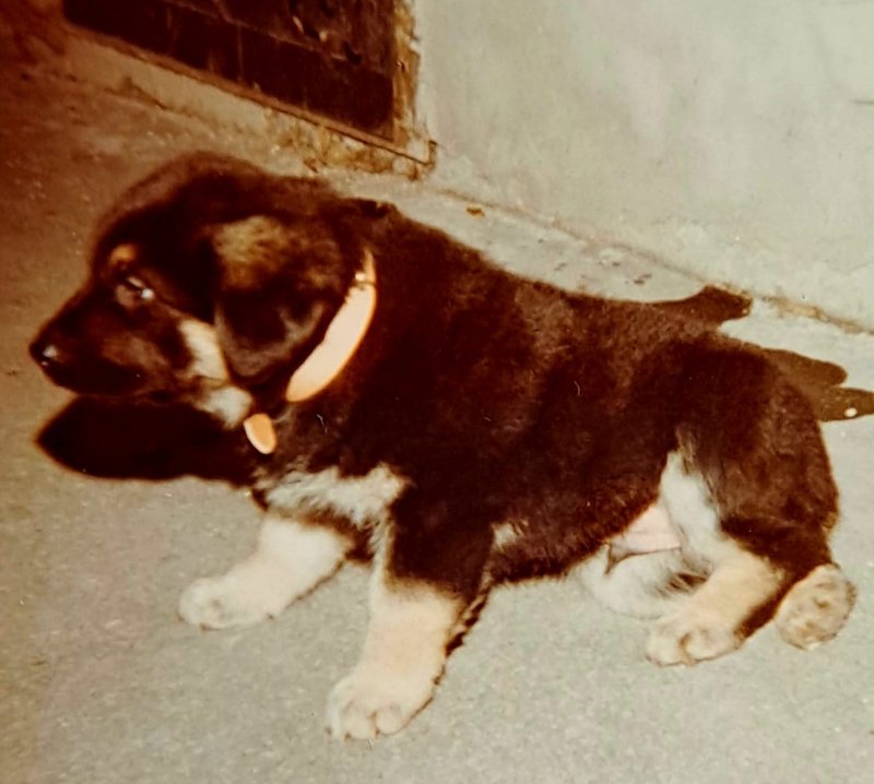 Individuelle Überschrift