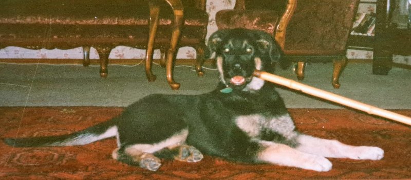 Individuelle Überschrift