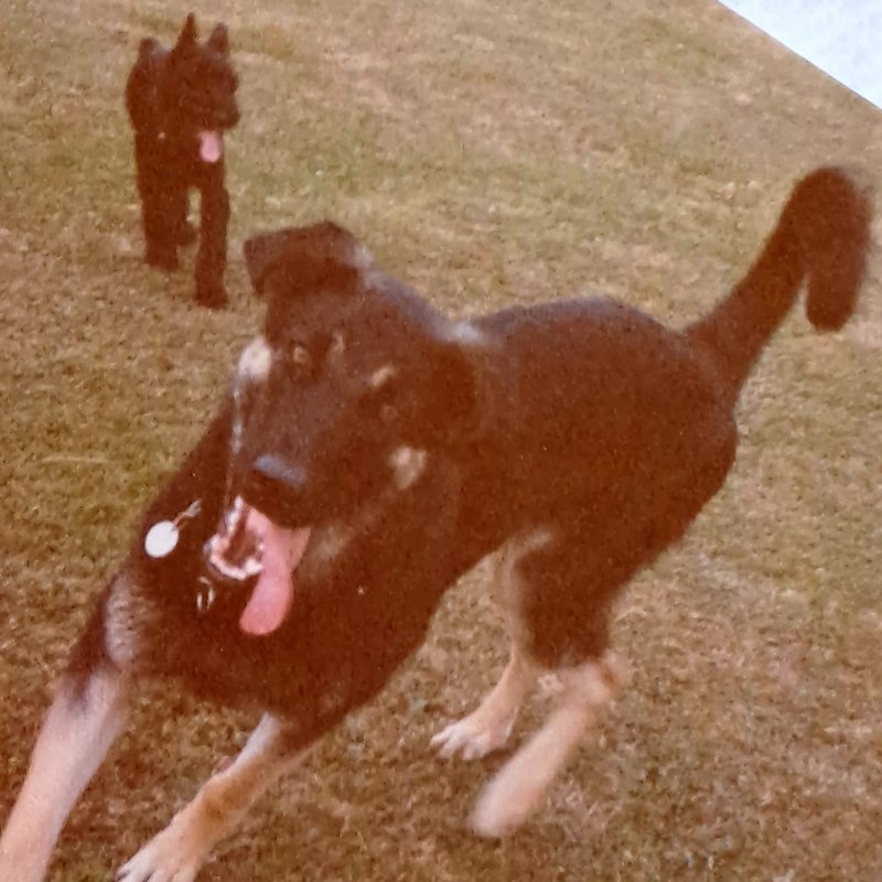 Individuelle Überschrift