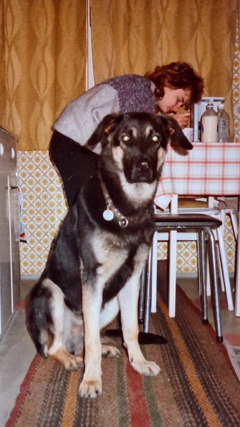 Individuelle Überschrift