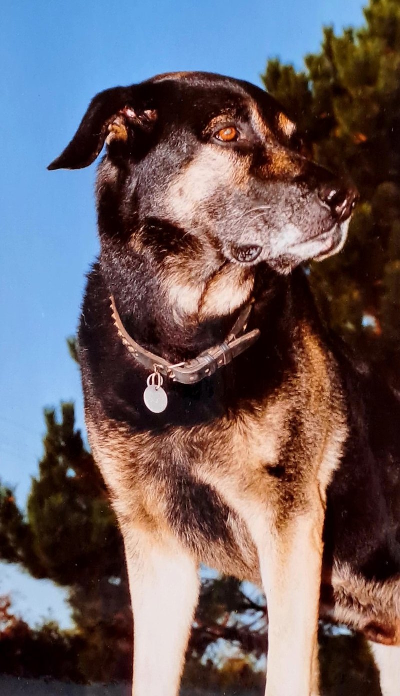 Individuelle Überschrift