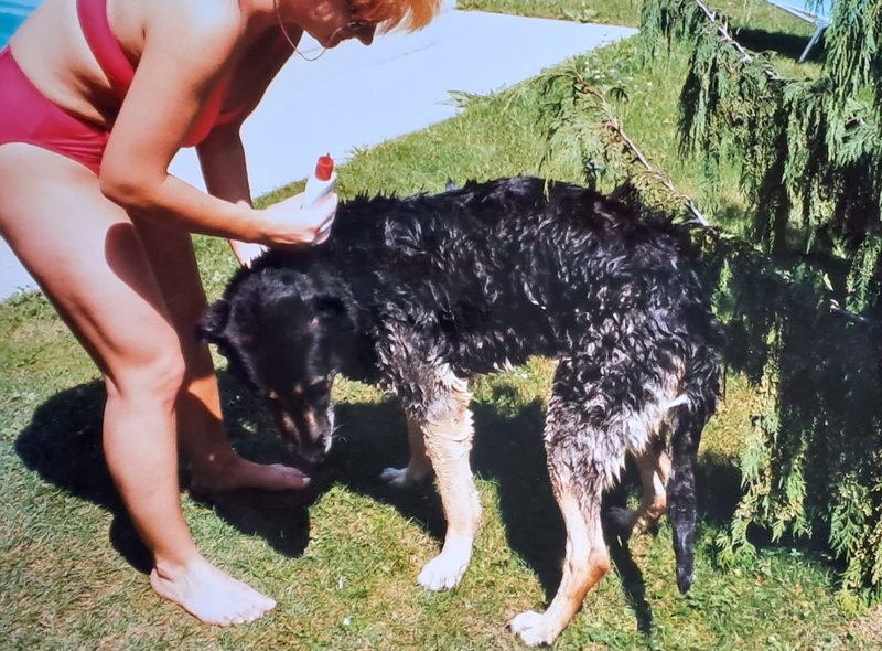 Individuelle Überschrift