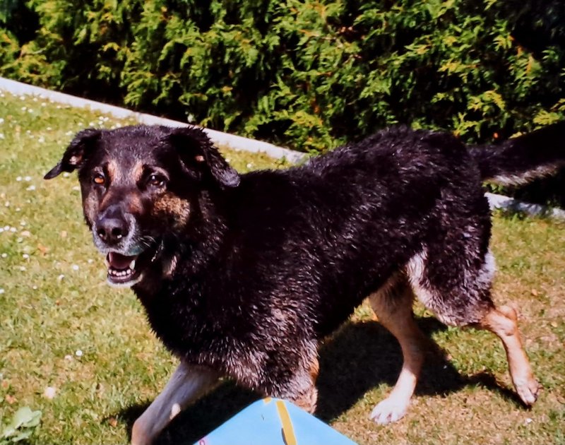 Individuelle Überschrift