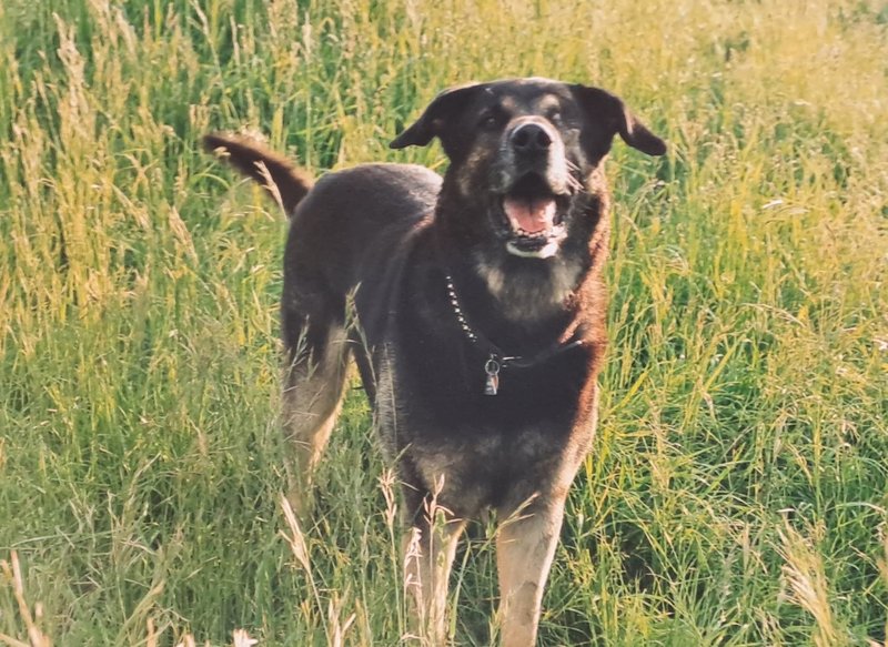 Individuelle Überschrift