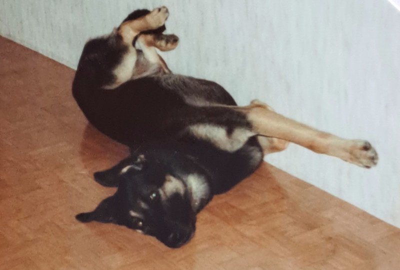 Individuelle Überschrift