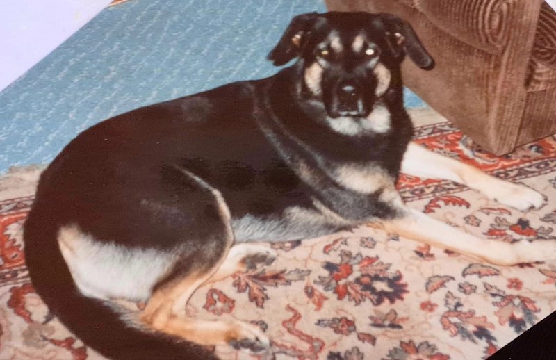 Individuelle Überschrift