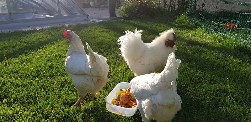 Individuelle Überschrift