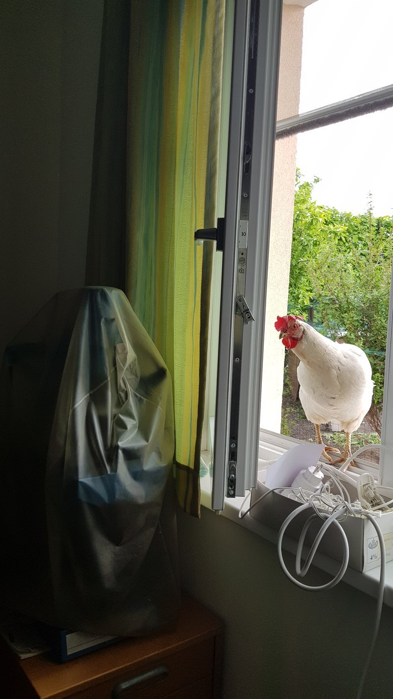 Individuelle Überschrift