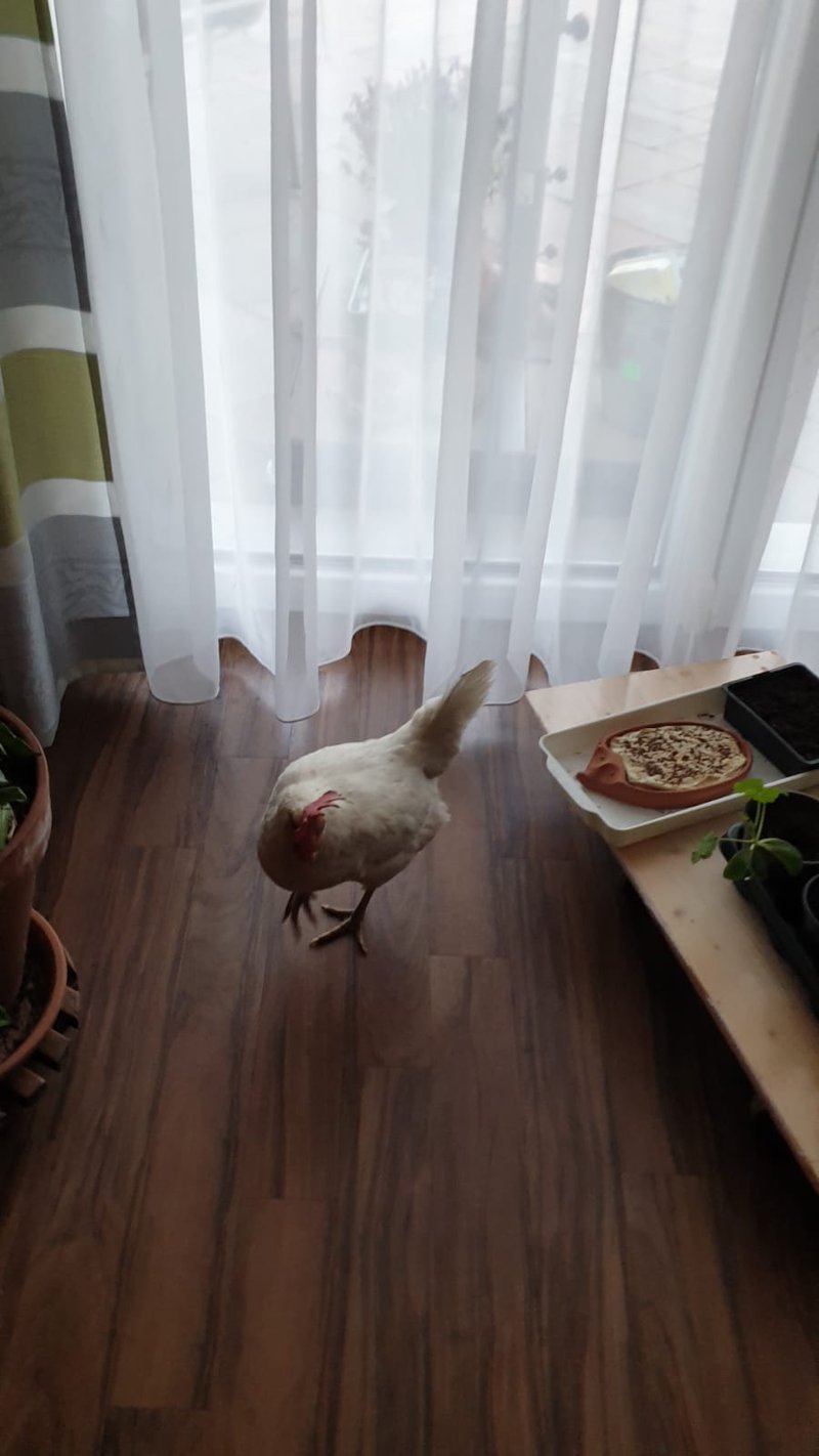 Individuelle Überschrift