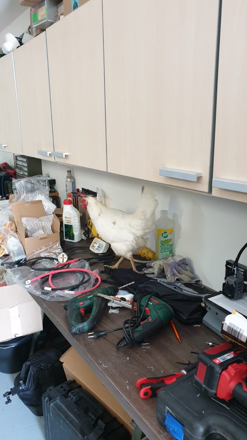 Individuelle Überschrift