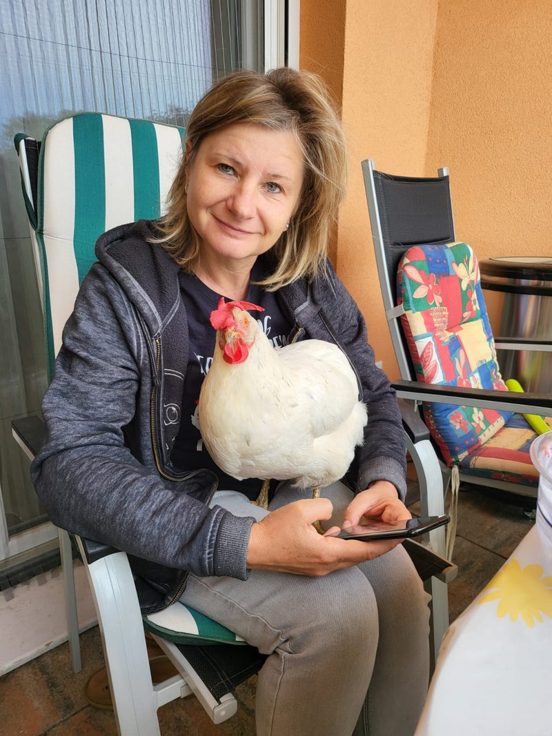 Individuelle Überschrift