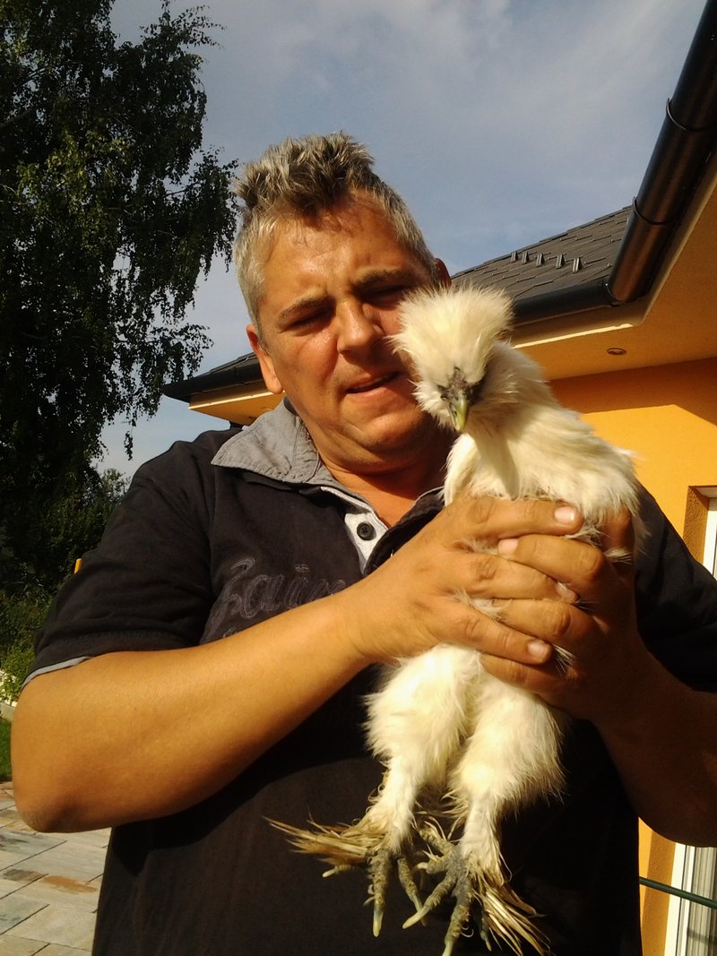 Individuelle Überschrift