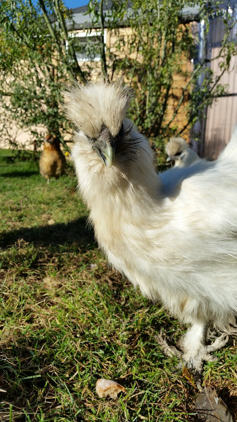 Individuelle Überschrift