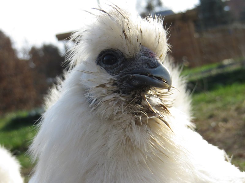 Individuelle Überschrift