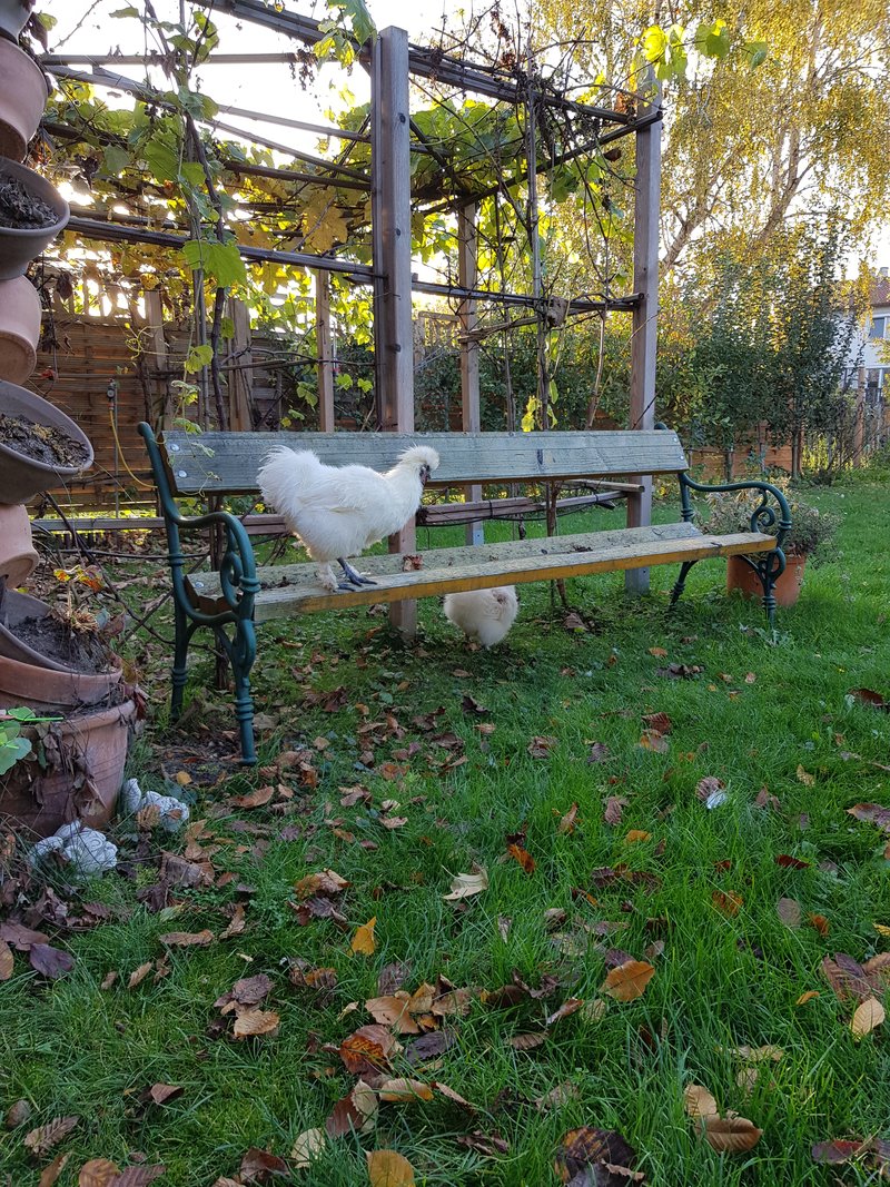 Individuelle Überschrift