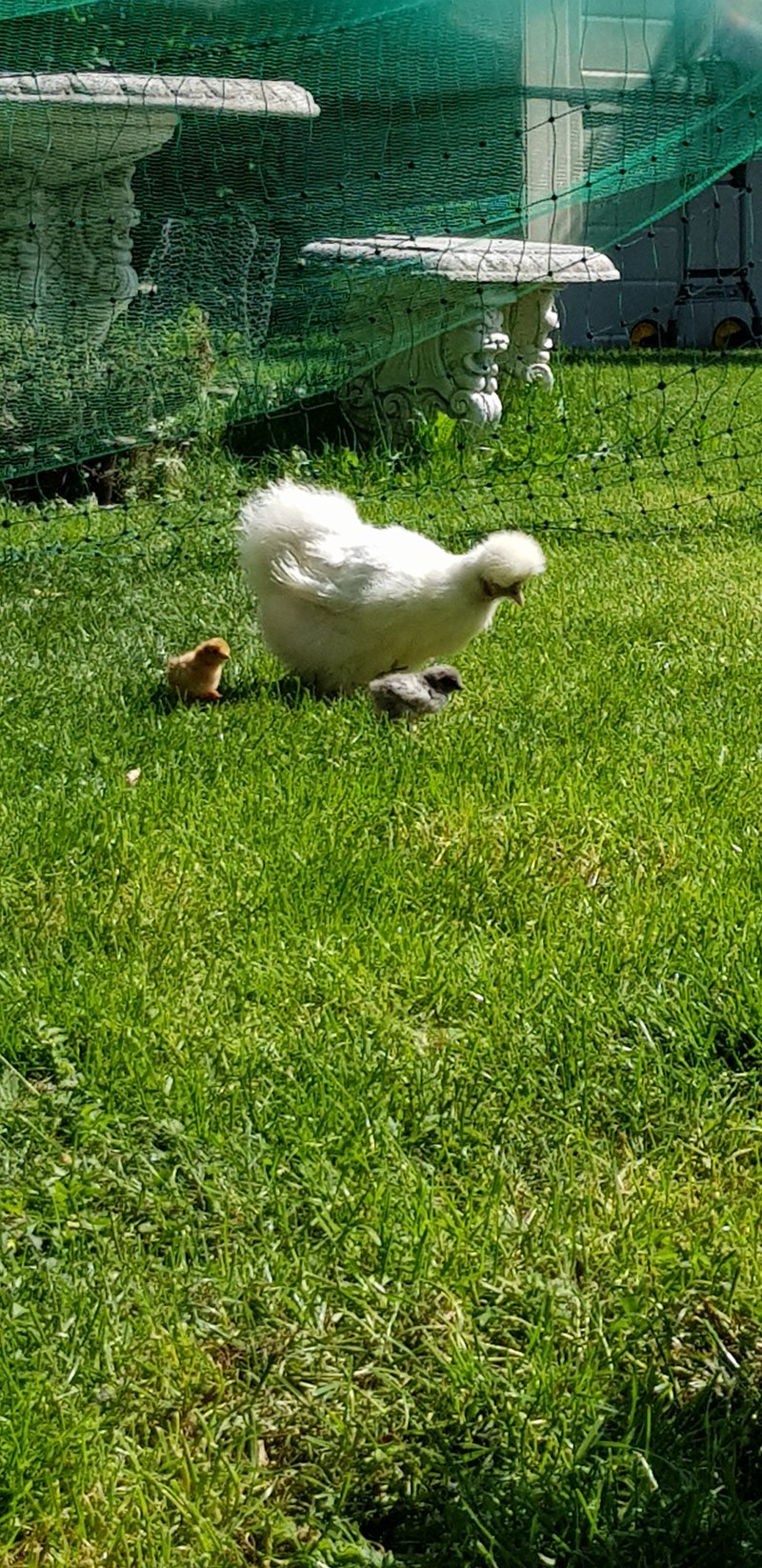 Individuelle Überschrift