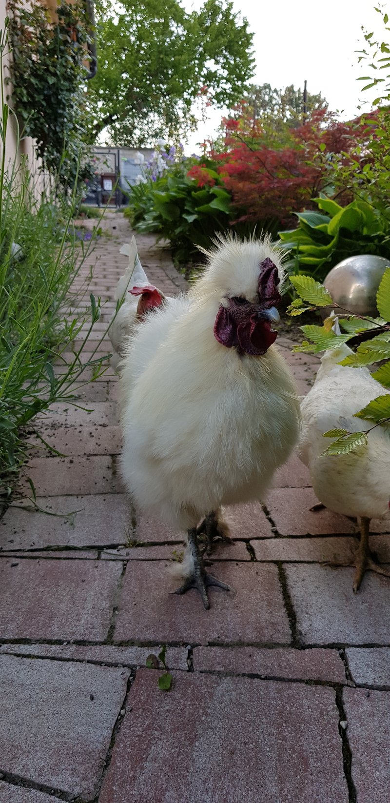 Individuelle Überschrift