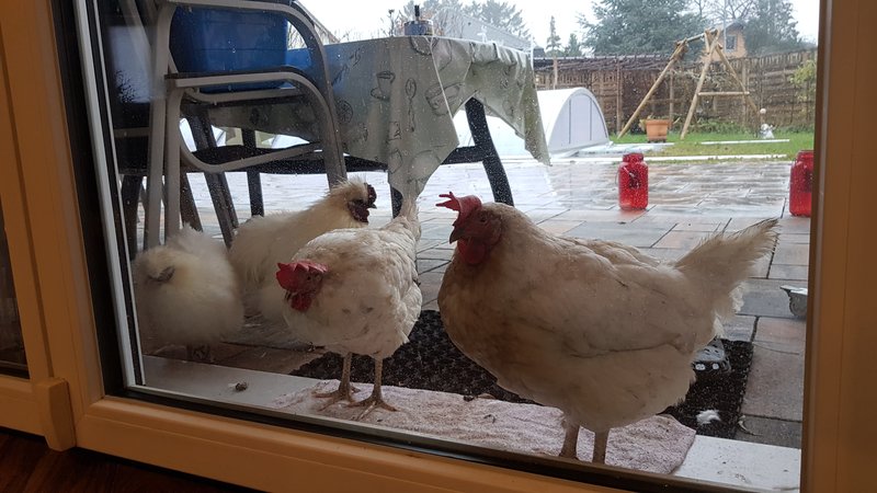 Individuelle Überschrift