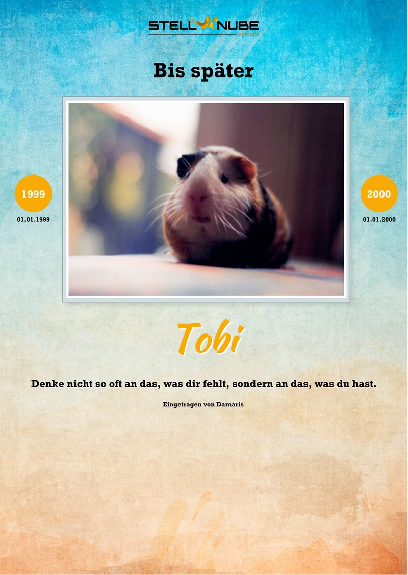 Tobi