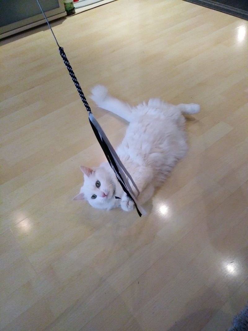 Individuelle Überschrift