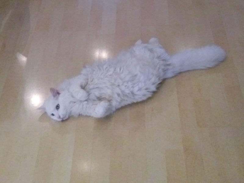 Individuelle Überschrift