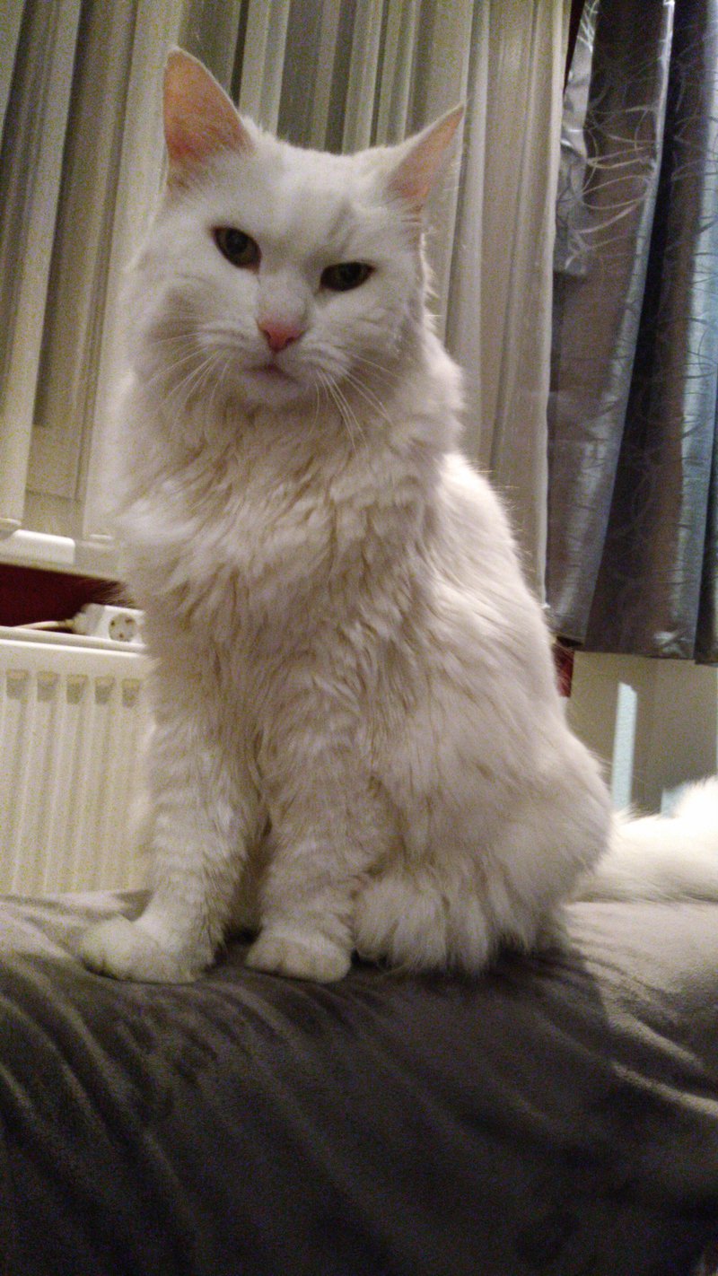 Individuelle Überschrift