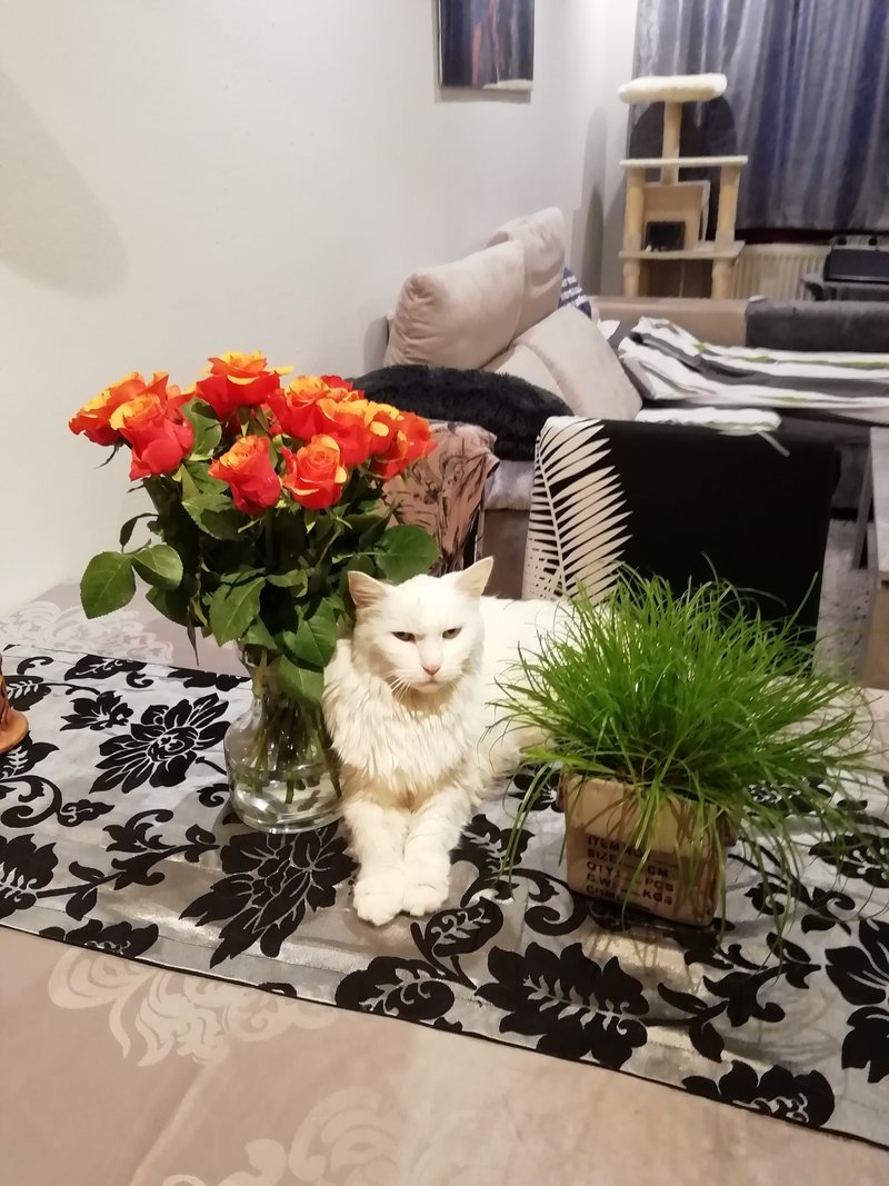 Individuelle Überschrift