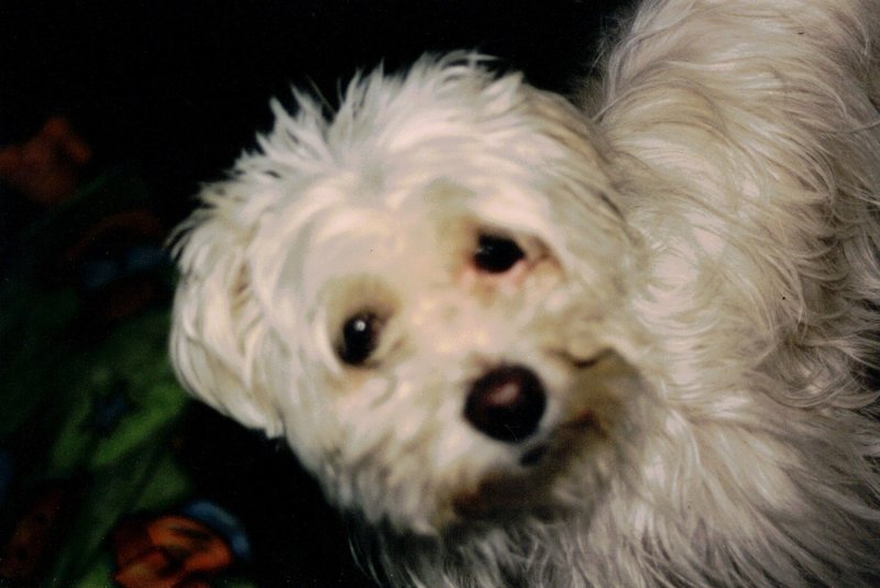 Bis in alle Ewigkeit