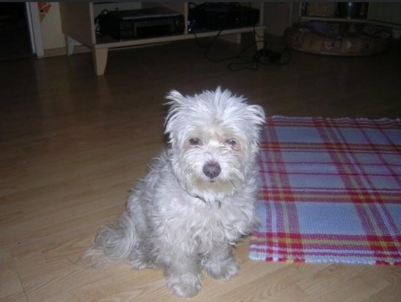 Bis in alle Ewigkeit