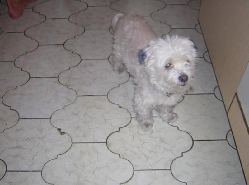 Bis in alle Ewigkeit