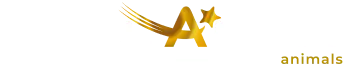 Stellanube-Animals
